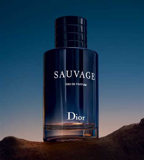 dior parfume men